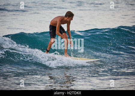 Barbados-Bridgetown Surfer ziemlich junge Mann Jugendliche Surfen Surfer Exemplar Surfbretter im Meer Lebensstil gesund Nebel Stockfoto