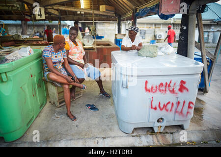 Barbados Oistins Chefkoch Koch Kochen Küstenstadt Pfarrei Christ Church Dorf kleinen Angelshop in den Markt Platz Arbeit vor Ort Stockfoto