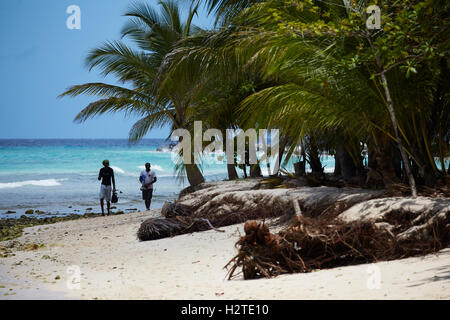 Barbados Hastings Bay Fischer goldenen Sandstrand Palm Bäume Küste zu Fuß Fischer tragen Stangen Exemplar Stockfoto