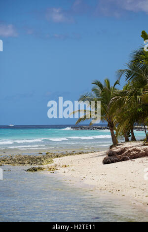 Barbados Hastings Bay Strand goldenen Sandstrand Palm Bäume Küstenmeeres hübsche Landschaft Exemplar blauen Himmel sonnig Stockfoto