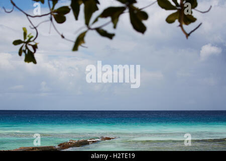 Barbados Hastings Bay Strand goldenen Sandstrand Palmen Bäume Küstenmeeres Landschaft ziemlich Exemplar blauen Himmel sonnig Steg Anlegestelle walkw Stockfoto