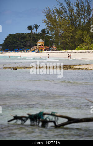 Barbados Hastings Bay Hütte Rettungsschwimmer goldenen Sandstrand Palmen Bäume Küstenmeeres Landschaft ziemlich Exemplar blauen Himmel sonnig Steg p Stockfoto