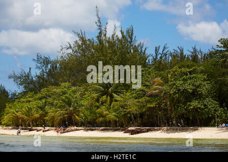 Barbados Hastings Bay Fischer goldenen Sandstrand Palmen Bäume Küstenmeeres Landschaft ziemlich Exemplar blauen Himmel sonnig Rettungsschwimmer hu Stockfoto