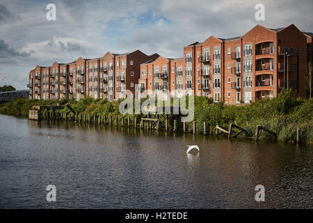 Walton sperrt Warrington Schifffahrtskanal Apartments im Lager Stil an den Ufern des Flusses Manchester Ship Canal Wasserstraße ind Stockfoto