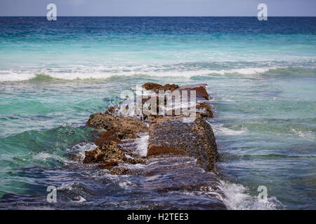 Barbados Hastings Bay Strand goldenen Sandstrand Palmen Bäume Küstenmeeres Landschaft ziemlich Exemplar blauen Himmel sonnig Steg Anlegestelle walkw Stockfoto