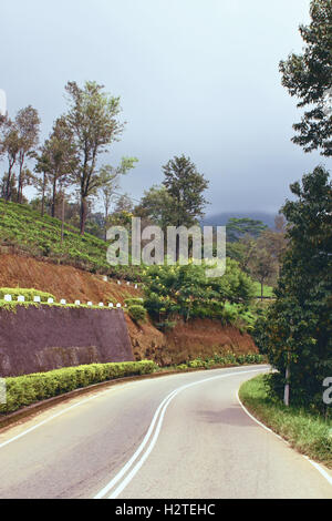 Straße, vorbei an Tee-Plantage in Sri Lanka Stockfoto