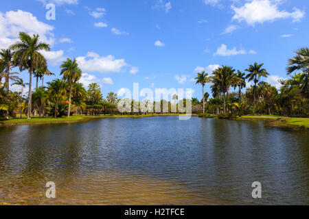 Teich in Fairchild Tropical Botanic Garden, Florida, USA Stockfoto