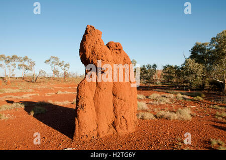 Termite Mound - Australien Stockfoto