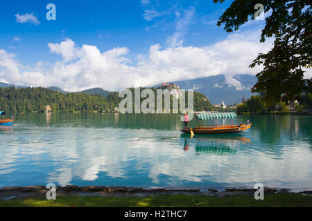 Traditionelle Holzboote auf Bled See, Slowenien. Stockfoto