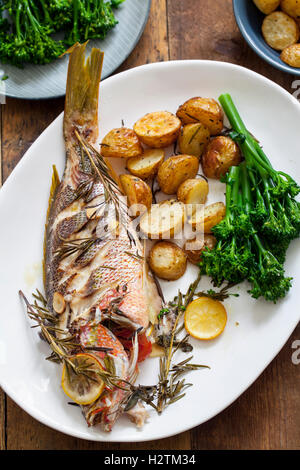 Gebratenes Red Snapper mit Rosmarin Bratkartoffeln und Brokkoli Stockfoto