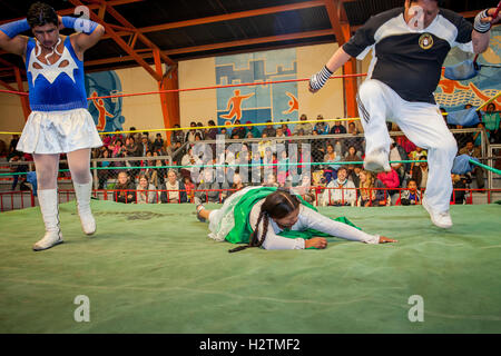 Lucha Libre. Die Schiedsrichter-Lauffläche nach unten die Hand des Algela la Folclorista, während des Kampfes zwischen den Transvestiten und die cholita Stockfoto