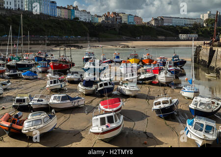 Angelboote/Fischerboote warten die Flut am Hafen von Tenby, Pembrokeshire, Wales, Stockfoto