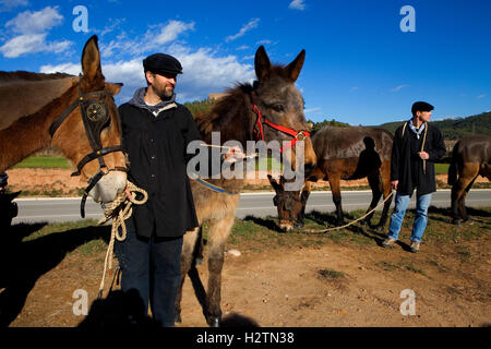 "Festa Dels Traginers´, fest der Muleteer in Balsareny. Comarca del Bages. Eix del Llobregat, Katalonien, Spanien. Stockfoto