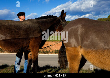 "Festa Dels Traginers´, fest der Muleteer in Balsareny. Comarca del Bages. Eix del Llobregat, Katalonien, Spanien. Stockfoto