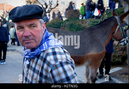 "Festa Dels Traginers´, fest der Muleteer in Balsareny. Comarca del Bages. Eix del Llobregat, Katalonien, Spanien. Stockfoto