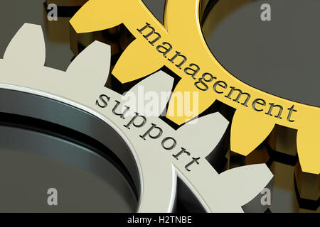 Management Support-Konzept auf die Zahnräder, 3D rendering Stockfoto