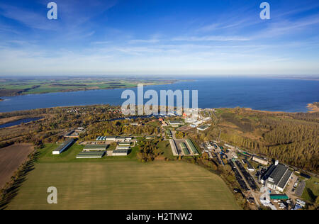 Luftbild, Hütten, Kapitän Häuser, Rechlin-Nord Hafen Dorf und Niederlassung Kanal zu Claassee, Rechlin, mit Marina Stockfoto