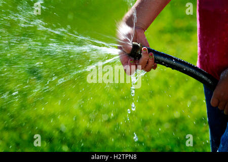 Hand und Schlauch Spritzen shooting Süßwasser auf grünen Rasen Stockfoto