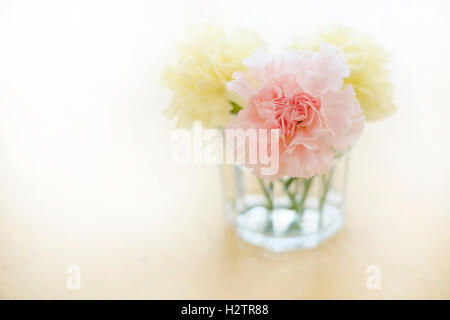 Nahaufnahme von frischen Frühling Blumen Nelken im Cup auf alten Holztisch Top Dekoration Stockfoto