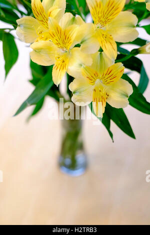 Nahaufnahme von frischen Frühling Blumen Nelken im Cup auf alten Holztisch Top Dekoration Stockfoto