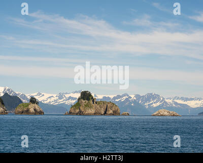 Steller Seelöwen (Eumetopias Jubatus) Sonnen auf den Felsen, Kenai Fjords National Park, südlich von Seward, Alaska. Stockfoto