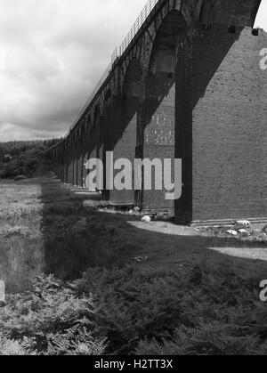 Schaf ruht unter Big Wasser der Flotte Viadukt nahe Gatehouse of Fleet, Dumfries and Galloway, Schottland Stockfoto