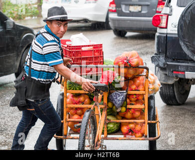 Straße Obstverkäufer im Regen. Regen fällt auf einem Transport-Dreirad, schwer beladen mit Zitrusfrüchten und Melonen. Stockfoto