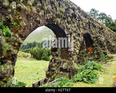 Flechten bedeckt Stein Aquädukt. Ein Alter Stein Aquädukt durchschneidet ein Sao Miguel-Tal.  Jetzt stillgelegten es ist bedeckt mit Wachstum. Stockfoto