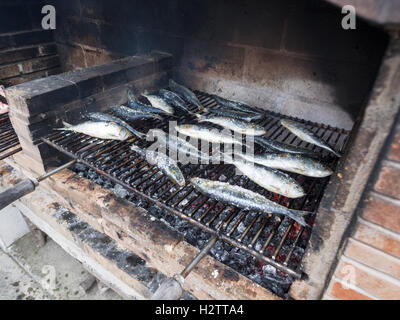 Gesalzene Sardinen Grillen auf einem Wirtschaftsinstrument BBQ. Große Stücke von Steinsalz Geschmack frischer Fisch nur, nachdem er auf einem heißen Grill platziert ist Stockfoto