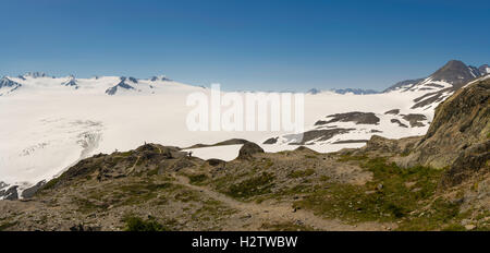 Blick auf das Harding Icefield an einem schönen Sommermorgen, Kenai Fjords National Park, Seward, Alaska. Stockfoto