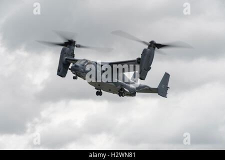 Bell Boeing CV-22 Osprey Military Tilt Rotor Flugzeug setzen auf einer eindrucksvollen Demonstration bei der RIAT 2016 Stockfoto