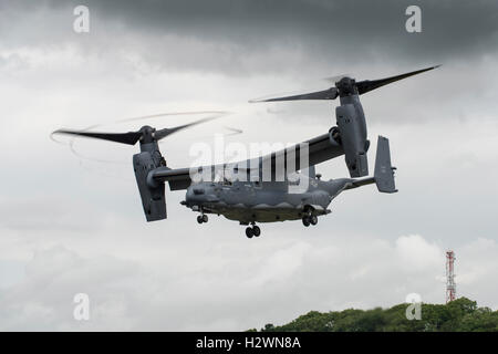 Bell Boeing CV-22 Osprey Military Tilt Rotor Flugzeug setzen auf einer eindrucksvollen Demonstration bei der RIAT 2016 Stockfoto