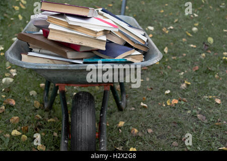 Trolley mit Bücher Stockfoto