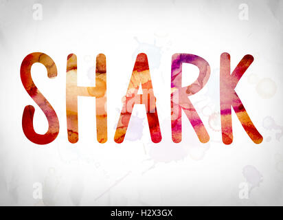 Das Wort "Shark" in Aquarell Wäschen über ein weißes Papier Hintergrund Konzept und Thema geschrieben. Stockfoto