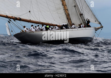 Saint-Tropez, Frankreich. 1. Oktober 2016. MoonBeam Segeln während Les Voiles de St. Tropez in Frankreich. © Gaetano Piazzolla/Pacific Press/Alamy Live-Nachrichten Stockfoto