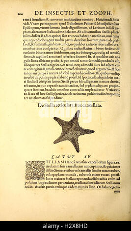 Gvlielmi Rondeletii... Libri de Piscibus Marinis (Seite 122) BHL417 Stockfoto