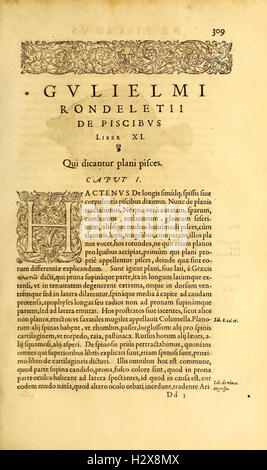 Gvlielmi Rondeletii... Libri de Piscibus Marinis (Seite 309) BHL417 Stockfoto