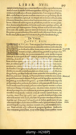 Gvlielmi Rondeletii... Libri de Piscibus Marinis (Seite 527) BHL417 Stockfoto