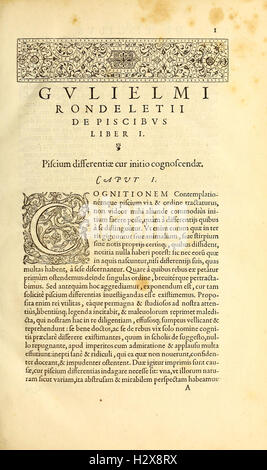 Gvlielmi Rondeletii... Libri de Piscibus Marinis BHL417 Stockfoto