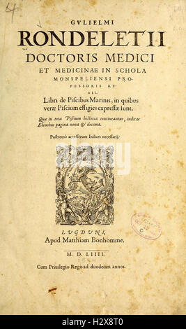 Gvlielmi Rondeletii... Libri de Piscibus Marinis BHL417 Stockfoto