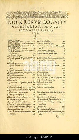 Gvlielmi Rondeletii... Libri de Piscibus Marinis BHL417 Stockfoto