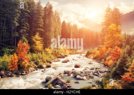 Schöne bunte Herbstlandschaft mit einem Bach und Wald in getönten Farben, Vintage-Stil mit warmen flare Stockfoto