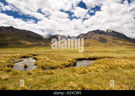 Peruanischen Altiplano Landschaft im Orient-Express verläuft zwischen Cuzco und Puno Andean Explorer Zug aus gesehen. Altipl Stockfoto