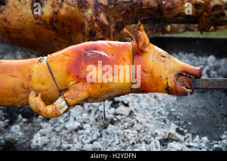 Blick auf gebratenes Schwein am Spieß Stockfoto