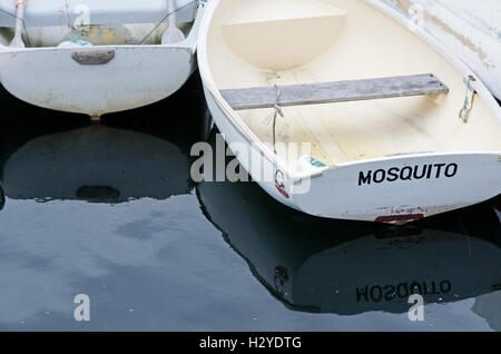 Eine ironisch benannte Jolle vertäut am Stadt Dock in Islesford, Maine Stockfoto