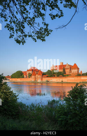 Marienburg in Polen, Blick über Fluss Nogat, mittelalterliche Festung, historisches Wahrzeichen Stockfoto