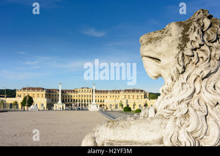 Wien, Wien: Palast Schloss Schloss Schönbrunn, 13., Wien, Österreich Stockfoto