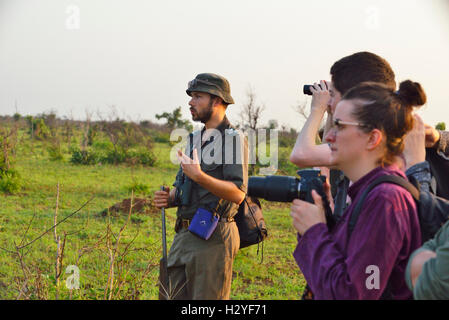 Ranger und Reisegruppe auf einem Buschwanderweg von 5 Uhr (Spaziergang vor den elektrischen Zäunen der Lager), die wilde Tiere seufzt, Kruger National Park, Südafrika Stockfoto