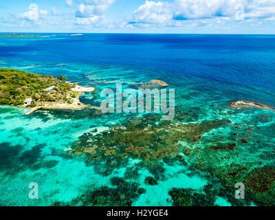 Coral Reef vor großen Vogelinsel, Antigua, West Indies, Karibik, Antigua und Barbuda Stockfoto