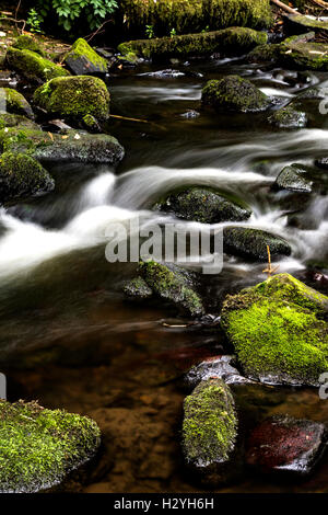 Slow Shutter des Wassers fließt durch Capelrig Brennen, Rouken Glen. Glasgow, Schottland Stockfoto